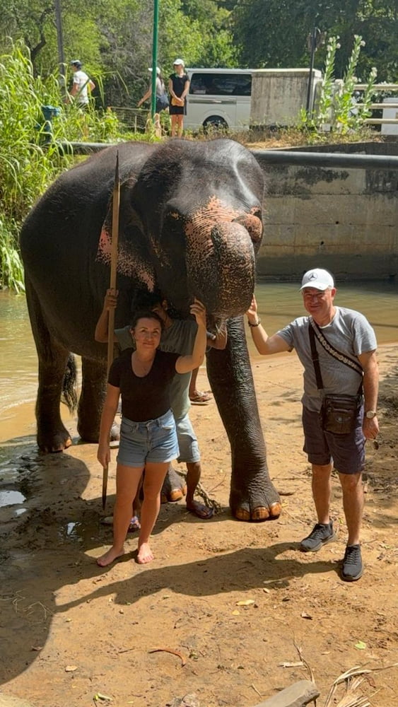 Unforgettable Encounter Petting a Gentle Giant