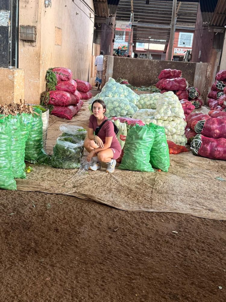 Discovering Fresh Produce at a Local Market
